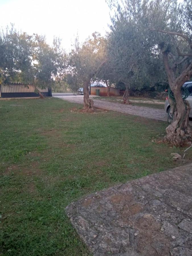 Apartman Krcina Krnica Exteriér fotografie